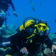 Tauchkurs Teneriffa Scuba Diver