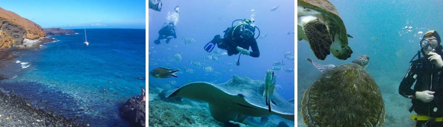 Galerie der Tauchschule Ocean Trek auf Teneriffa