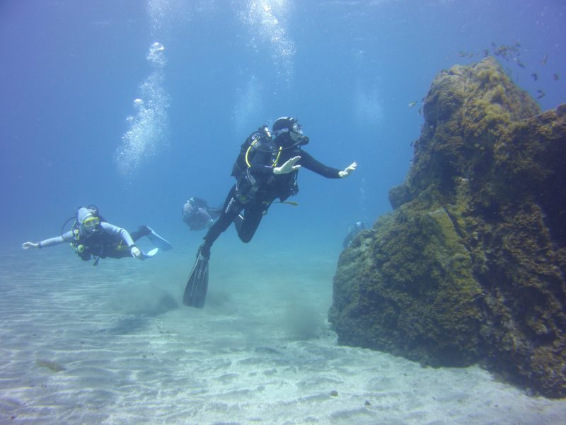 Tauchschule Teneriffa Ocean Trek PADI 5* Tauchcenter