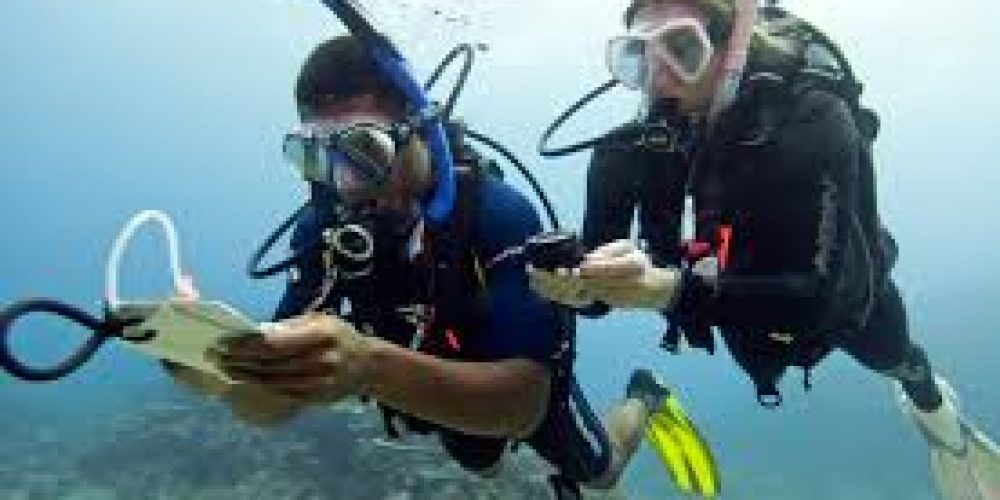 Spezialkurs Unterwasser-Navigation Ocean Trek Teneriffa