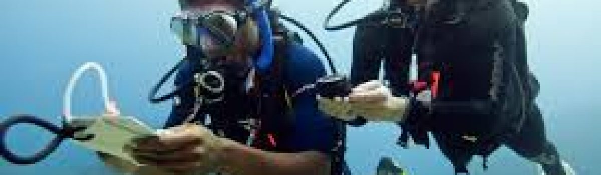Spezialkurs Unterwasser-Navigation Ocean Trek Teneriffa