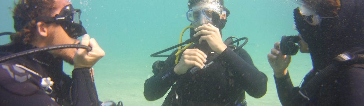Schnupper-Tauchkurs Ocean Trek Teneriffa